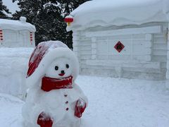 -长春市南湖公园