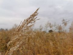 -赛汗塔拉草原公园