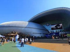 -烟台海昌鲸鲨海洋公园