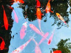 景点-杜月笙公馆旧址