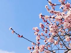 -太阳宫公园