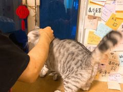 -H立方实景剧情密室(天河旗舰店)