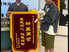 -伟伟宠物医院·CT影像中心·瑞派犬猫综合性门诊(汉口总院)