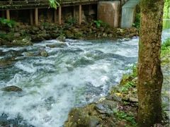 -广州市石门国家森林公园