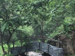 -十渡东湖港风景区