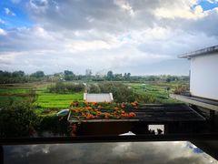 -翠田Green Field Kitchen
