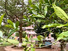 -侯臣咖啡文化村