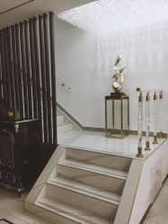 -北京丽星翼美医疗美容