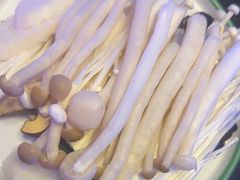 -南门四季铜锅涮肉(大屯·北苑店)