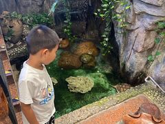 -勝記酒家·37年老字号·经典粤菜(荔枝公园店)