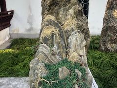 -上海醉白池公园
