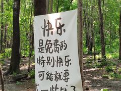 -帽儿山风景区