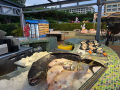 -渔家火锅·海鲜自助餐·演艺(亚龙湾天域酒店)