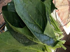 菠菜-丫丫汤膳打边炉(宏府408坊店)