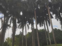 -亚马逊丛林水乐园