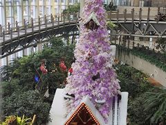 -聂发财重庆江湖菜(解放碑店)