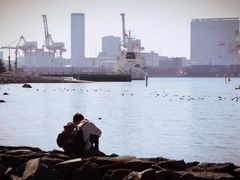 -台场海滨公园船码头