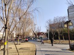 -西海子公园