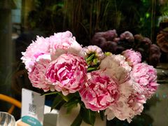 -春暖花开(西溪店)