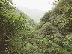 -山沟沟景区