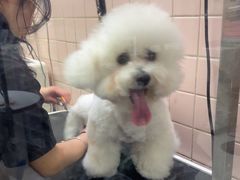-FAELING PETS美天灵宠物(富力广场店)