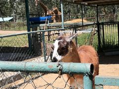 -石家庄市动物园