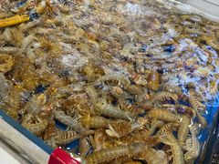 -北塘海鲜·天津菜·鲅鱼水饺是一绝(大光明桥旗舰店)