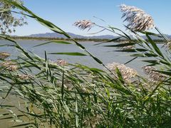 -野鸭湖国家湿地公园