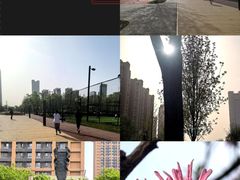 -唐城墙遗址公园