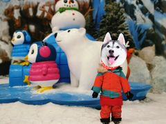 -长沙湘江冰雪世界