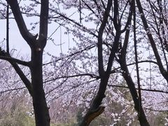 -艾溪湖湿地公园