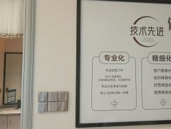 -红妆双美