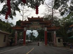 -广州市流溪河国家森林公园
