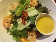 -bluefrog蓝蛙(水游城店)