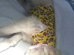 -骐奇宠物诊疗中心(南亭公路店)