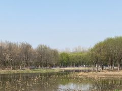 -东郊湿地公园