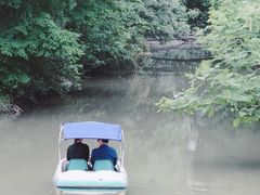 -上海滨江森林公园