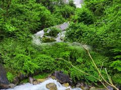 -鹿院坪生态旅游景区