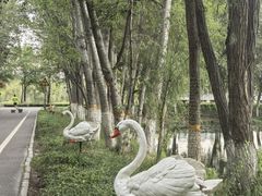 -伊犁河景区