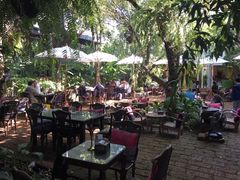 景观位-Fern Forest Cafe