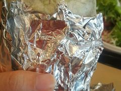 -油梨树 AVOCADO TREE(亮马桥店)