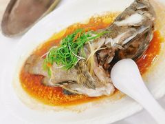 清蒸青斑-新享乐海鲜(翠华路店)