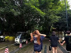 -成都动物园
