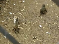 -昆明动物园