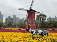 -大宁郁金香公园-停车场