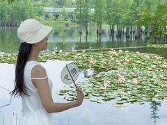 -白鹭湾湿地公园