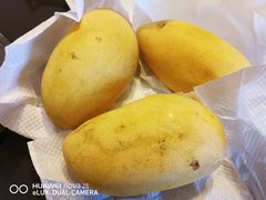 -美心皇宫(沙田大会堂店)