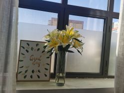 -安那般那皮肤年轻化ANAPANA