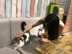 -小时光咖啡馆(开森度假森林店)