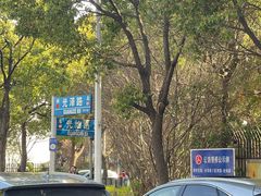 -高东镇樱花园